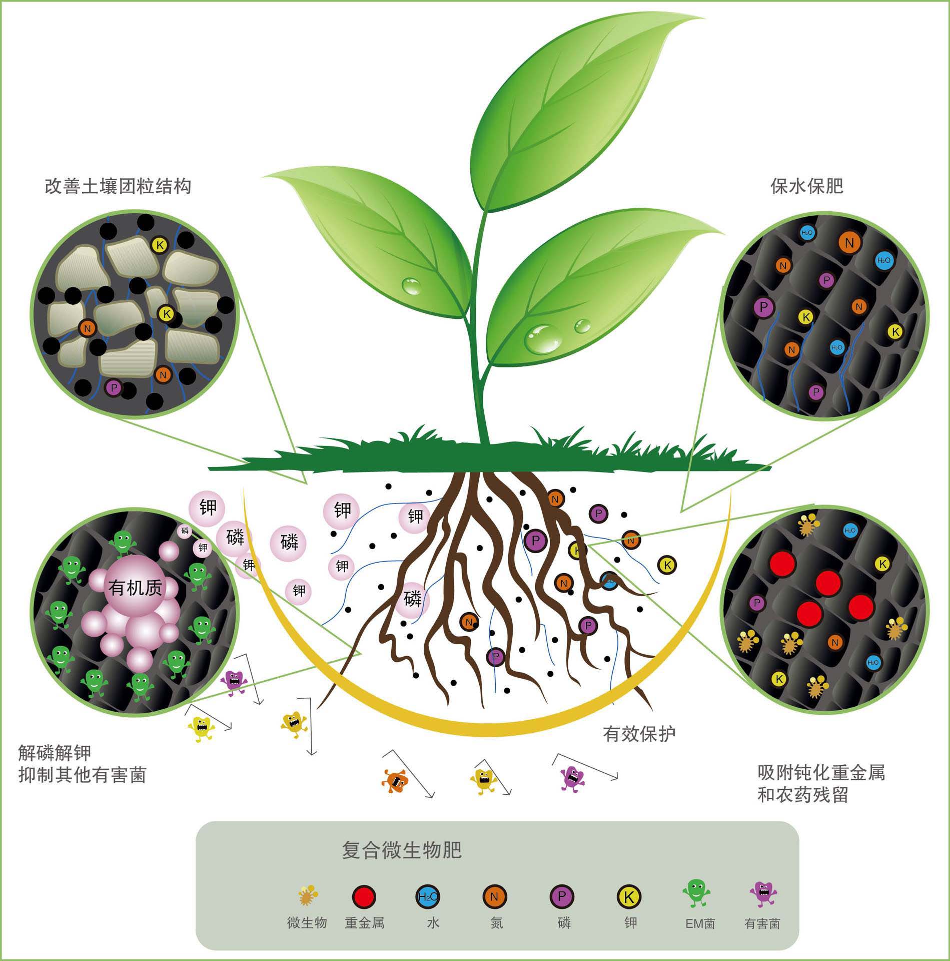 生物肥的類(lèi)型有哪些
