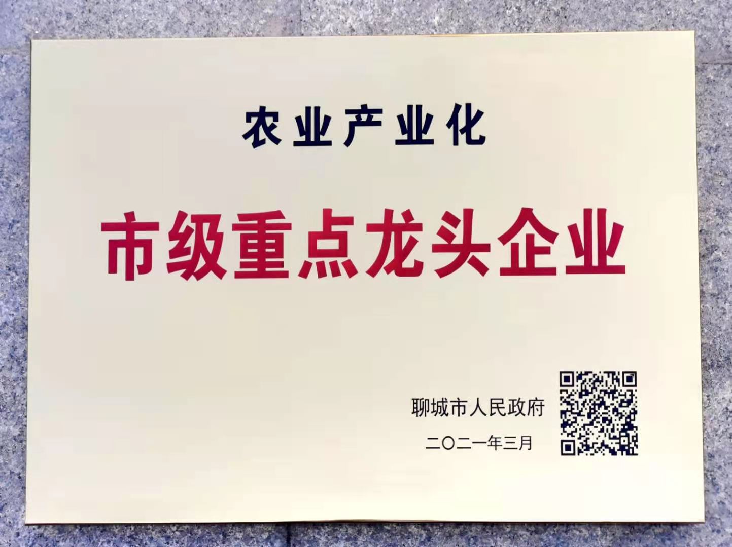 熱烈祝賀我公司被評為 “市級重點龍頭企業(yè)”