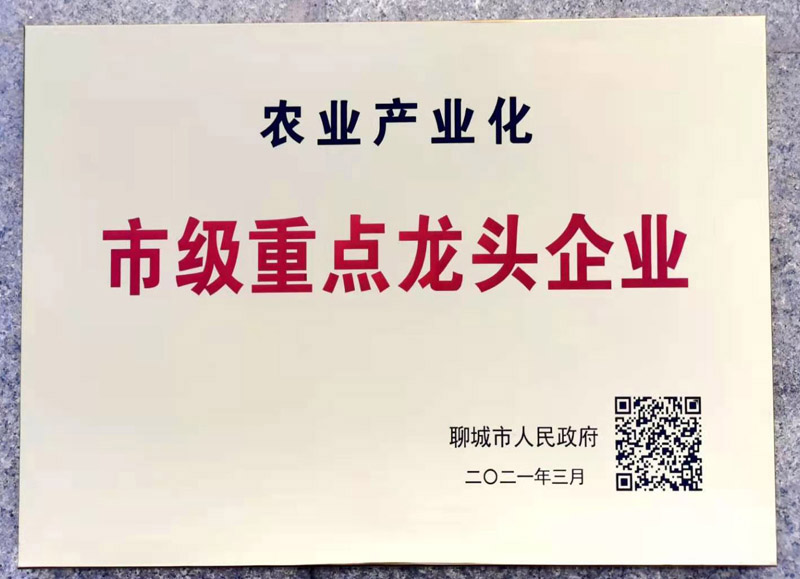 熱烈祝賀我公司被評(píng)為 “市級(jí)重點(diǎn)龍頭企業(yè)”